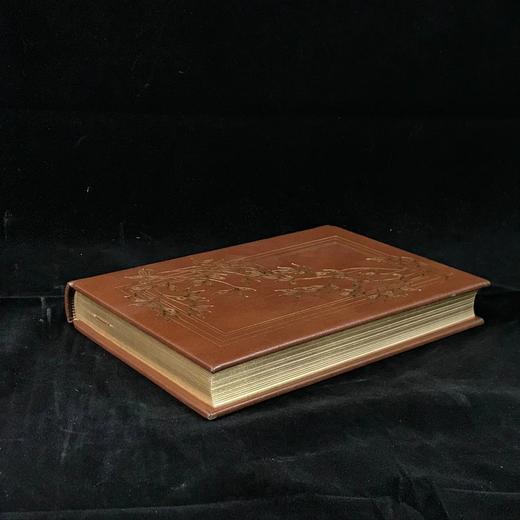 叶芝诗集 配插图 富兰克林图书馆豪华皮装本 商品图1