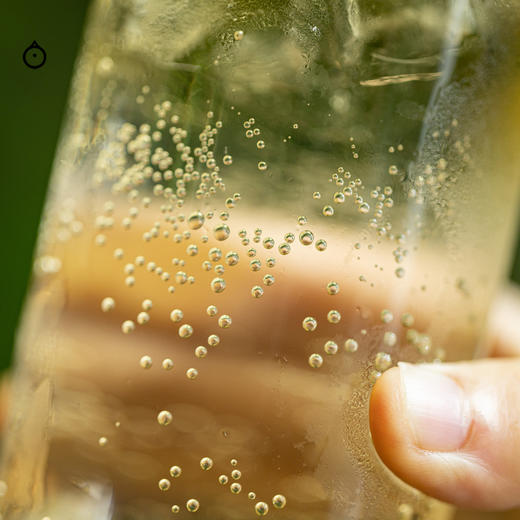 企鹅吃喝|青梅露 广东陆河梅园合作款 老树梅子 无醇青梅果汁 香气高扬馥郁 商品图8