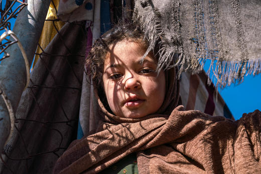 为1名阿富汗儿童提供一年特别保护和服务 商品图0