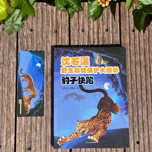 沈石溪野生动物保护大揭秘：豹子快跑（WX） 商品图2