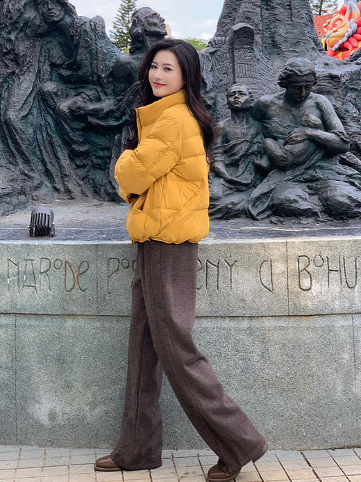 【百图lulu定制】【泡芙羽绒服】90%白鸭绒  彩色  H版型 下摆抽绳 袖口防风 面包领 羽绒服 商品图4