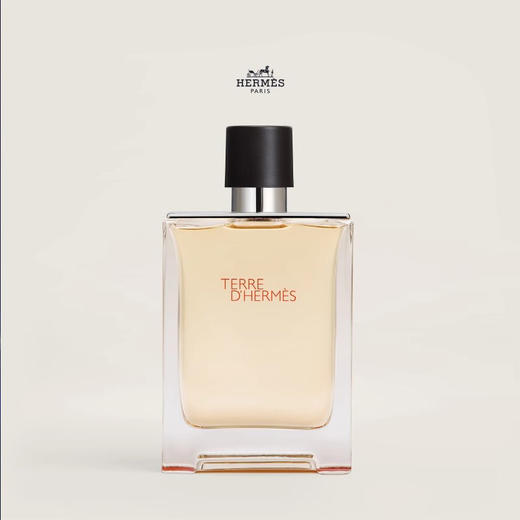 【礼想心动】Hermes 爱马仕 大地淡香氛 100ml 商品图4