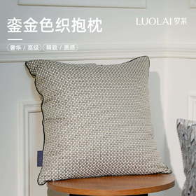 罗莱软装 寂静巴黎抱枕