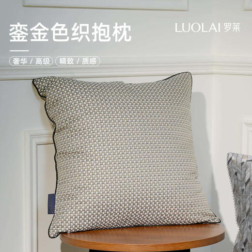 罗莱软装 寂静巴黎抱枕 商品图0