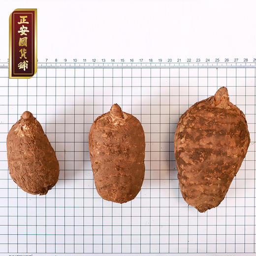 正安 云南昭通小草坝新鲜天麻【秒杀】 道地产区核心区现挖现发 补充头脑营养 优质原材 个头短肥肉质肥厚 1.5kg/箱【不叠加任何活动】 商品图2