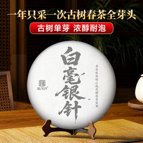 最后4饼【古树单芽 浓醇耐泡】2025年云南冰岛白毫银针头春古树纯料制作， 丰腴芽肥 挺直如针，回馈超值补贴，357g/饼，数量有限；先抢先得！