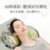 罗莱礼品-雨林蕉影腰颈肩多功能按摩枕 商品缩略图0