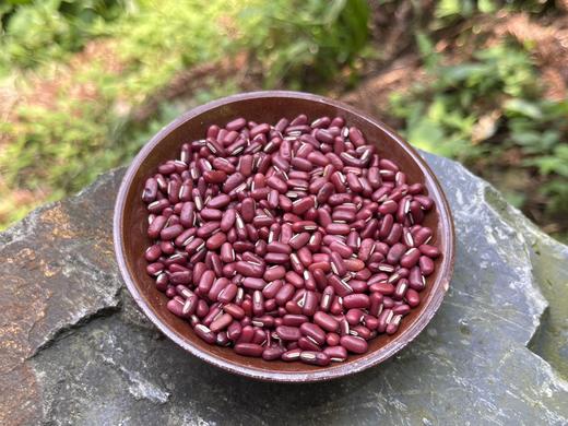 【2025年新豆】生态赤小豆  500g 商品图2