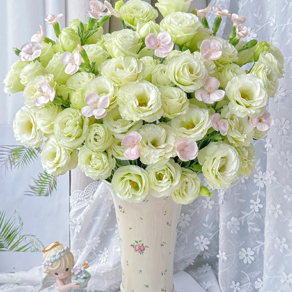 【江南】绿色洋桔梗15-18朵+卡萨多头康乃馨5支/份