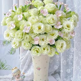 【江南】绿色洋桔梗15-18朵+卡萨多头康乃馨5支/份