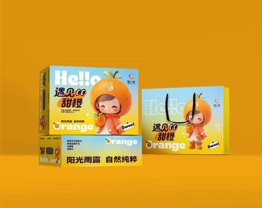 生态种植赣南脐橙 5/10/20斤 商品图8