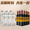 欢聚组合 茅记啤酒 茉莉花茶 1L*6+哥仑布 古堡 骑士 750ml*6 商品缩略图0