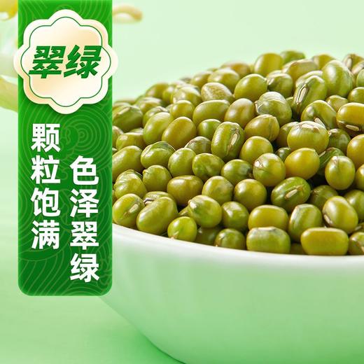 十月稻田 绿豆 500g/袋 商品图2