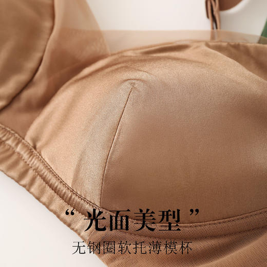 19姆米缎面真丝超薄无钢圈，桑蚕丝深V聚拢网纱拼接文胸 TG02S276 商品图3