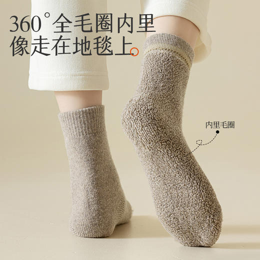 拾袜记冬季加厚羊毛毛圈袜 四双装 男女款 商品图4