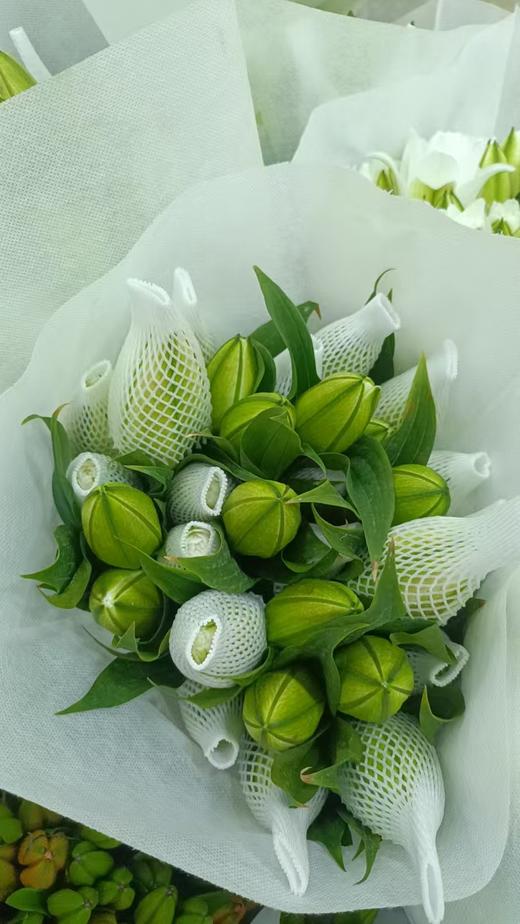 精品花材白色星百合 商品图1