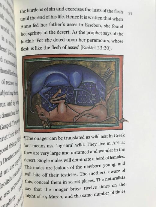 动物寓言集 近百幅彩色插图 精装16开带书匣 商品图5