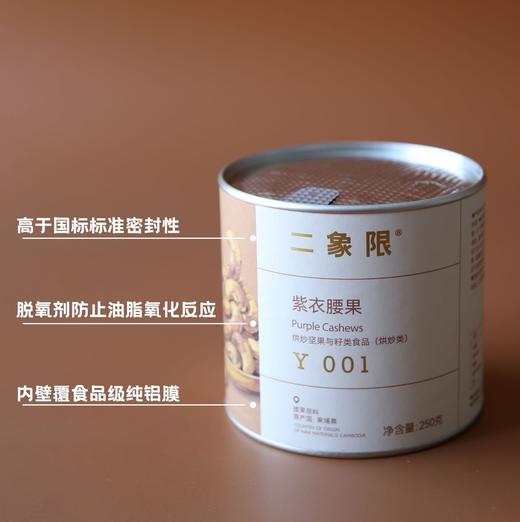 【二象限】紫衣腰果 北纬13度的阳光馈赠 咸香酥脆  咀嚼后留有淡淡焦糖尾韵 层次丰富  商品图2