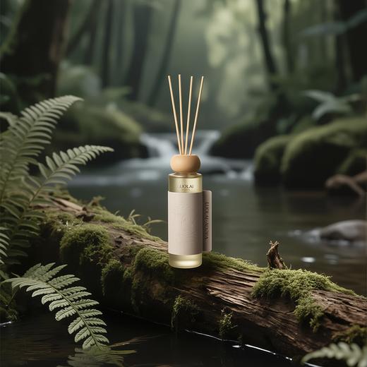 罗莱礼品-茶马古道无火香氛 商品图3