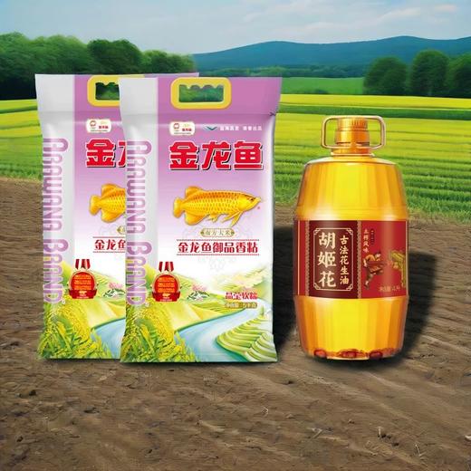 300元套餐A-金龙鱼粮油套餐（顺丰） 商品图1