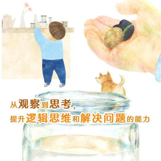 小科学之友经典图画书·小小观察家7册 商品图6