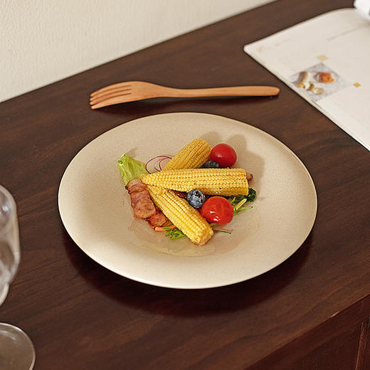 摩登主妇西餐盘子高级感沙拉碗家用碗具2025新款高颜值饭碗酸奶碗 商品图0