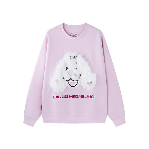 BJHG不计后果贴布狗狗卫衣女款加厚冬季美式情侣圆领摇粒绒上衣男 商品图4