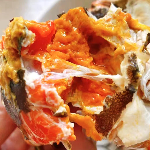 恭亲王阳澄湖大闸蟹8只装（公蟹3.5两*4只  母蟹2.5两*4只） 商品图3