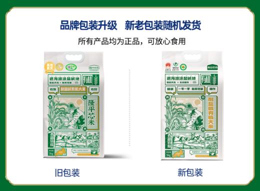 袁谷隆平芯米耐盐碱有机大米5kg粳米珍珠米2025新米 商品图5