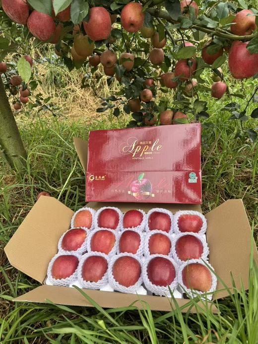石林富士生态苹果 商品图1
