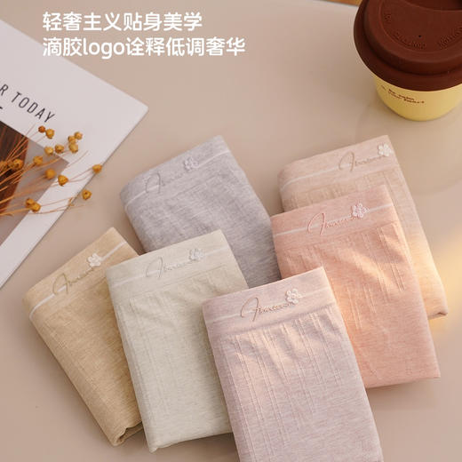 【3条装】女士三角提臀内裤莫代尔女士底裤【CSL25263】 商品图2