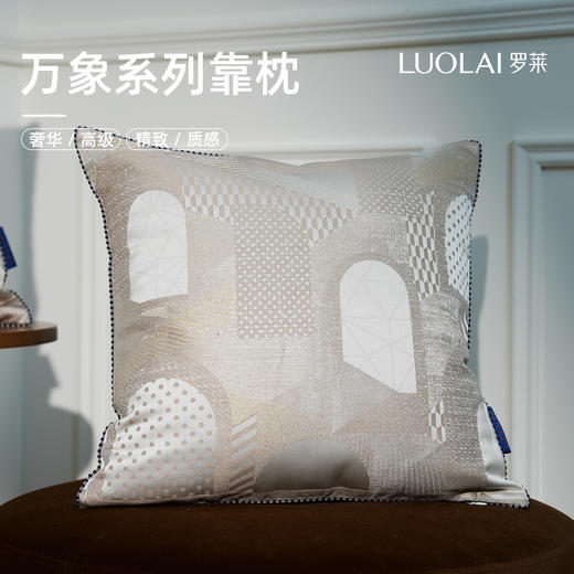 罗莱软装 万象抱枕 45*45cm 商品图0