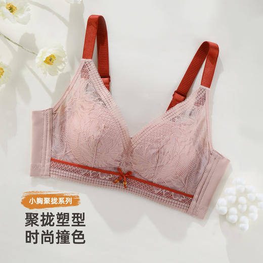 雅黛俪女士文胸甜美性感蕾丝聚拢显大内衣U型美背胸罩 商品图1