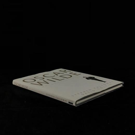 王尔德的精致人生 约百幅插图 精装大16开 商品图1