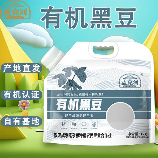 孟克河 有机黑豆1kg 商品图0