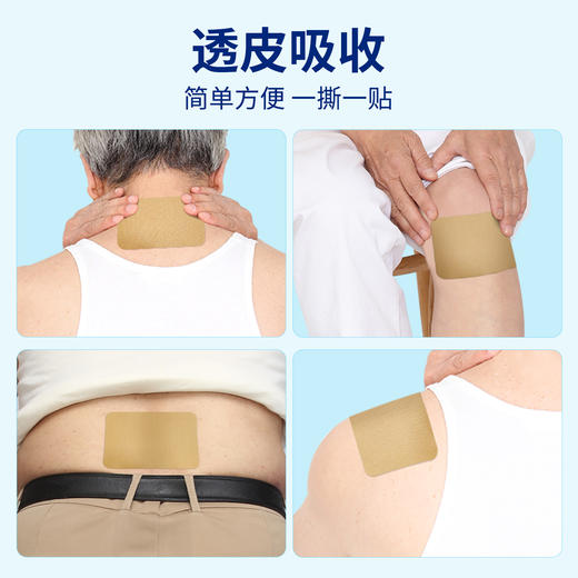 百年扁氏活力运动贴 商品图3