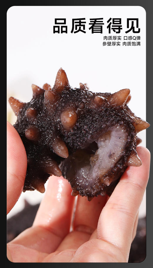 【买一袋送一袋】正宗大连即食海参500g/袋8-10头 商品图5