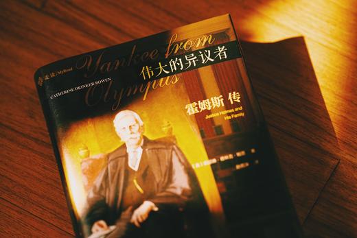 麦读译丛|《伟大的异议者：霍姆斯传》《狮子与王座：柯克传》《法律与战争：亚当斯传》 商品图1