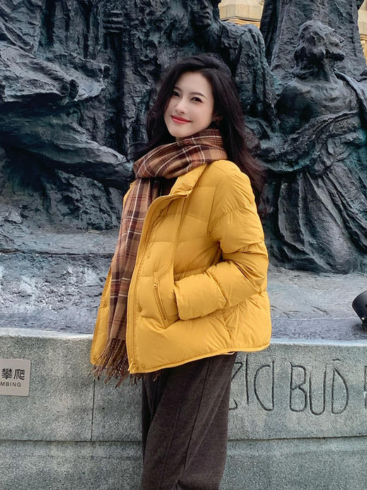 【百图lulu定制】【泡芙羽绒服】90%白鸭绒  彩色  H版型 下摆抽绳 袖口防风 面包领 羽绒服 商品图2