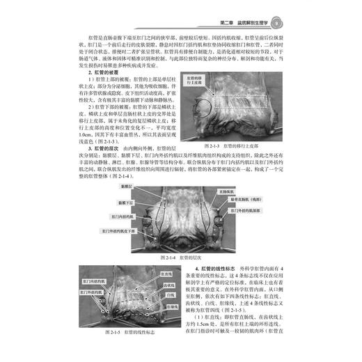 盆底医学 十四五普通高等教育研究生规划教材 李春雨 孙智晶 卫中庆 适用于临床基础预防护理影像麻醉妇产泌尿等多专业 科学出版社 商品图4