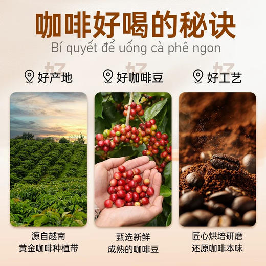 西贡海盐牛奶速溶咖啡432g 商品图6