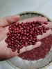 【2025年新豆】生态红小豆  500g 商品缩略图1