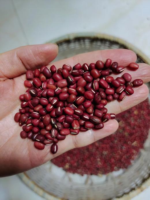 【2025年新豆】生态红小豆  500g 商品图1