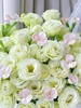 【江南】绿色洋桔梗15-18朵+卡萨多头康乃馨5支/份 商品缩略图5