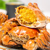 恭亲王阳澄湖大闸蟹8只装（公蟹3.5两*4只  母蟹2.5两*4只） 商品缩略图2