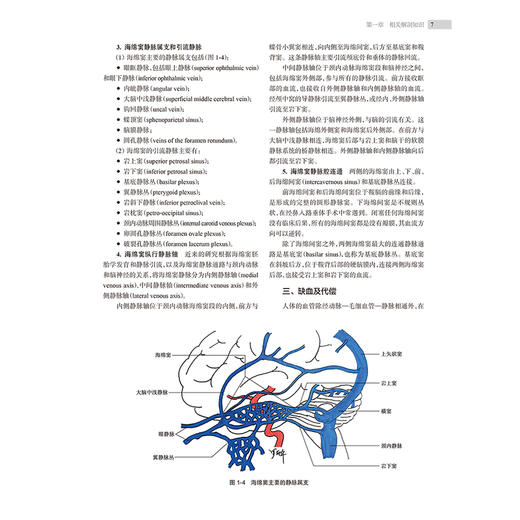 眼缺血综合征及缺血性眼病 王艳玲 王康 主编 本书对以眼缺血综合征为主的缺血相关眼病的基础等治疗进行系统梳理 人民卫生出版社 商品图4