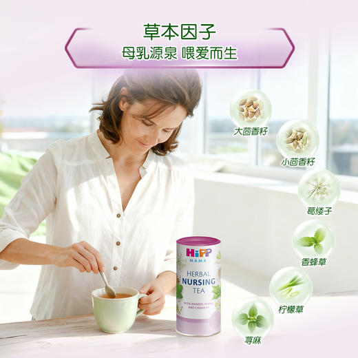 【保税】德国 喜宝（HiPP）草本无添加哺乳茶 200g/罐 商品图3