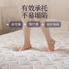 自然醒抗菌两用记忆棉床垫5公分LN 商品缩略图3