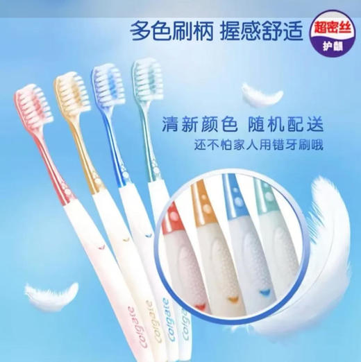 【牙膏】高露洁 超密丝护龈牙刷超值装家庭装磨尖丝软毛健齿口腔清洁(颜色随机) 4支/卡 商品图0