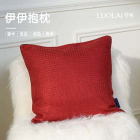 罗莱软装 伊伊抱枕 45*45cm